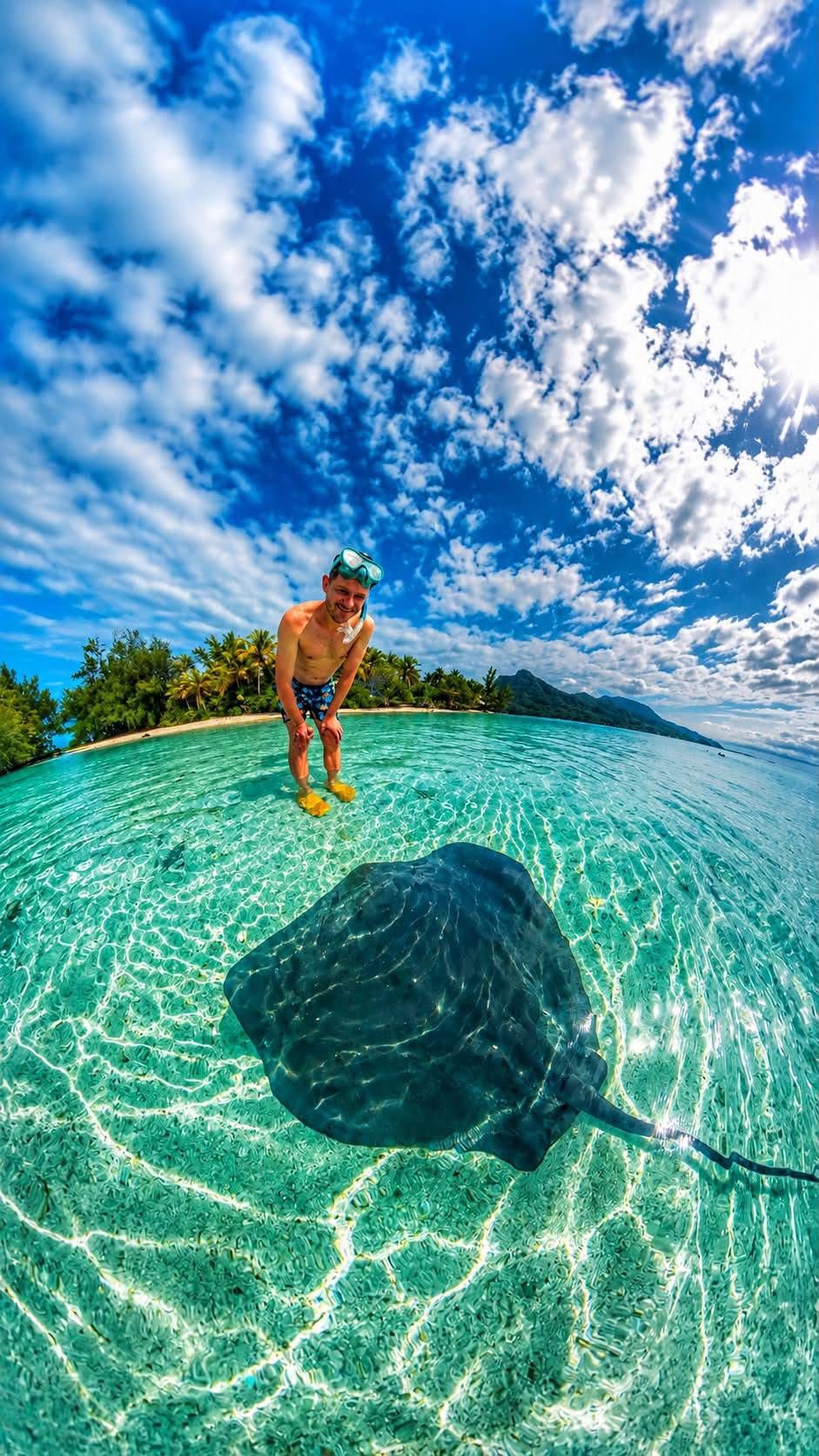 Jimmy snorkelling near a stingray in clear lagoon water